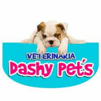 Foto de DASHY PETS 