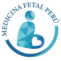 Foto de MEDICINA FETAL PERU 