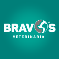 Foto de Veterinaria Bravo